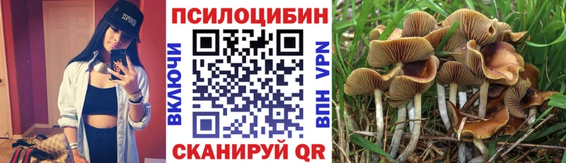 магазин    Вытегра  Галлюциногенные грибы ЛСД 